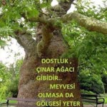 Bircan