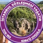 Zeyneb