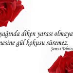 Kenan