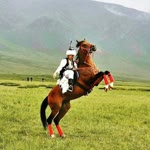 Rabia