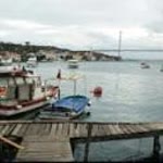 Betül