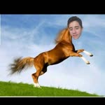 Metehan