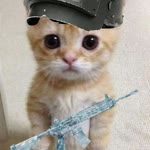 Hayrunnisa