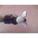 Umut