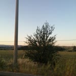 Duru