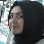 Sibel