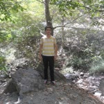 Talha