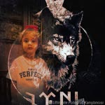 Barış