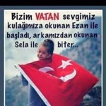 Şahin
