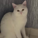 Fatma