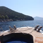 Havva