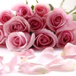 Fatma