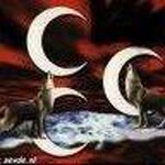 Murat