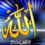 Nidal