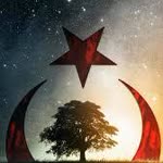 Ali