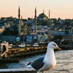 Gözde