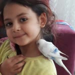 Sevim