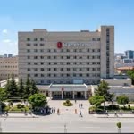 Hacettepe