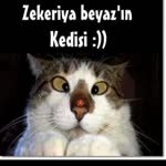 Serhat