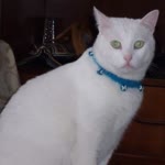 Hatice