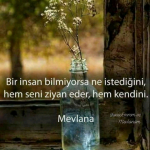 İlknur