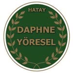 Daphne