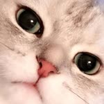 Atabey