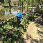 Ziya