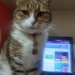 Fatma