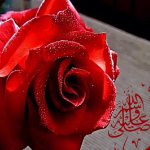 Meryem