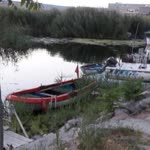 Sibel