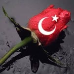 Ayşegül