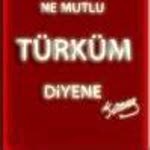 Özlem