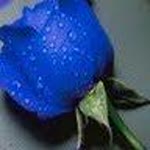 Talat