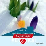 Ebru