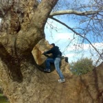Murat