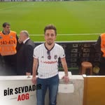 Alp