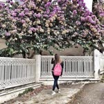 Cansu