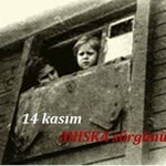 Halit