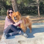 Havva