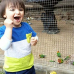 İlhan