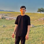 Şemdin