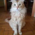 Sevilay