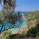 Sergül