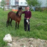 Mehmet