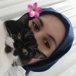 Elanur