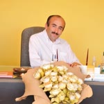 Musa