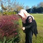 Emine