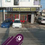 Doğan