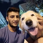 Engin